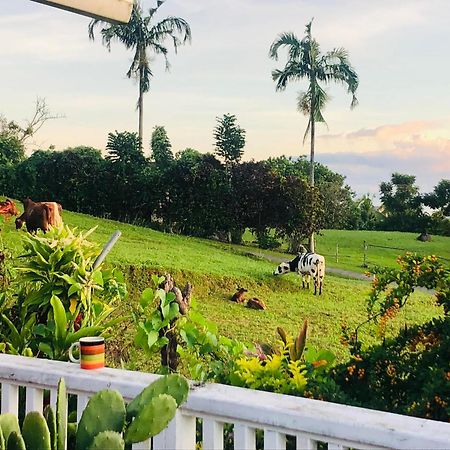 Bed and Breakfast Apaula Heights Lounge Apia Esterno foto