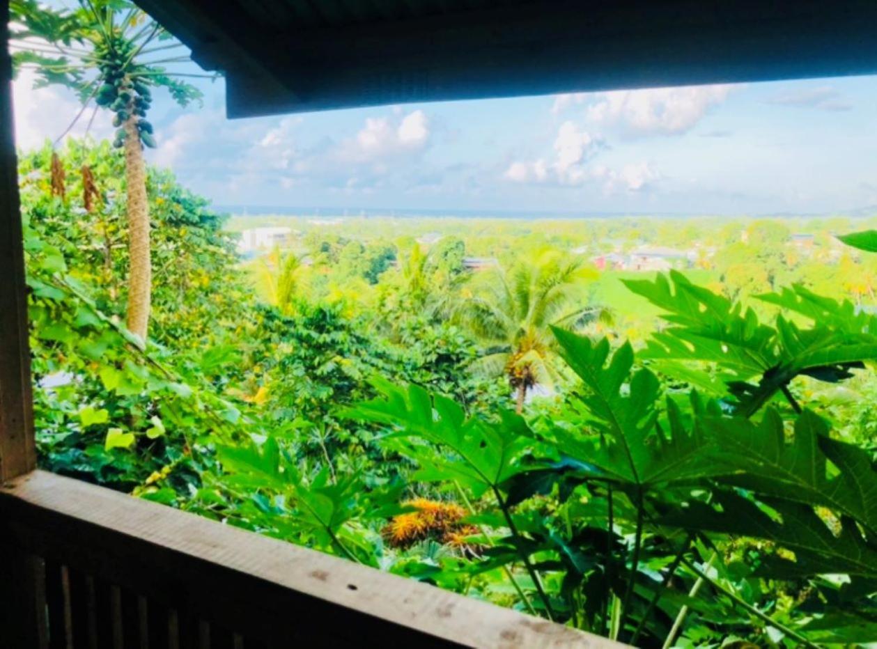 Bed and Breakfast Apaula Heights Lounge Apia Esterno foto